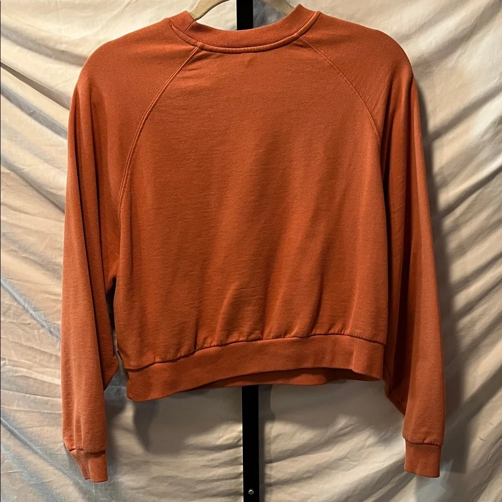Levi's Rust Crewneck cropped Sweatshirt (BIN1) - Picture 2 of 4